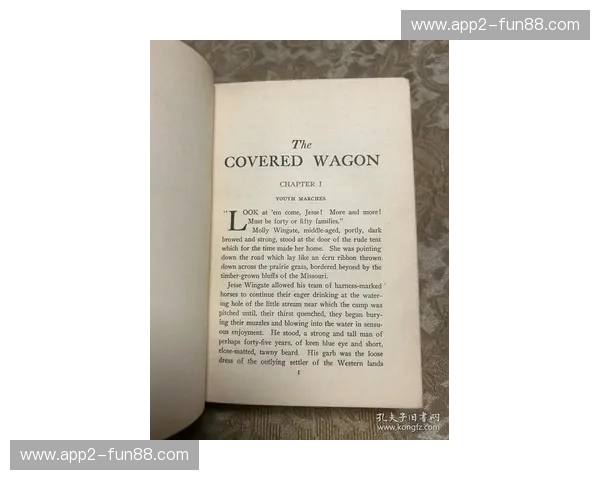 纽约之夜：林书豪的尼克斯与篮网双城记